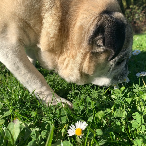 Meet your Posher, Olivia - Picture 11 of 11